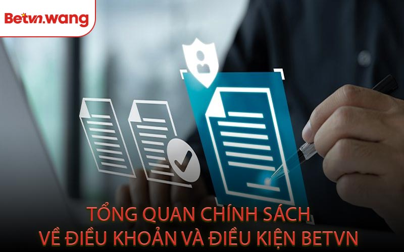 Tổng Quan Chính Sách Về Điều Khoản Và Điều Kiện BETVN