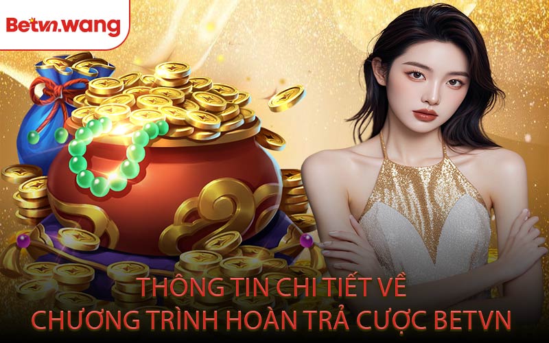 Thông Tin Chi Tiết Về Chương Trình Hoàn Trả Cược BETVN