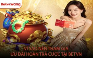 Vì Sao Nên Tham Gia Ưu Đãi Hoàn Trả Cược Tại BETVN