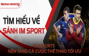 IM Sport Nền Tảng Cá Cược Thể Thao Tối Ưu