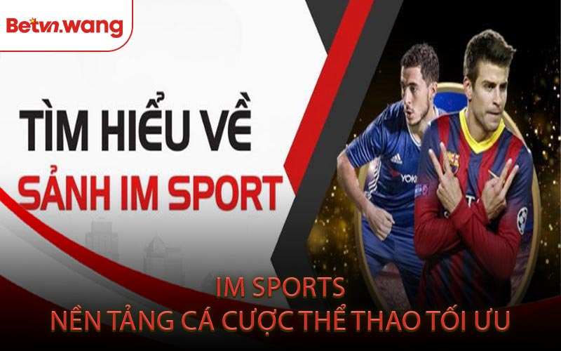 IM Sport Nền Tảng Cá Cược Thể Thao Tối Ưu