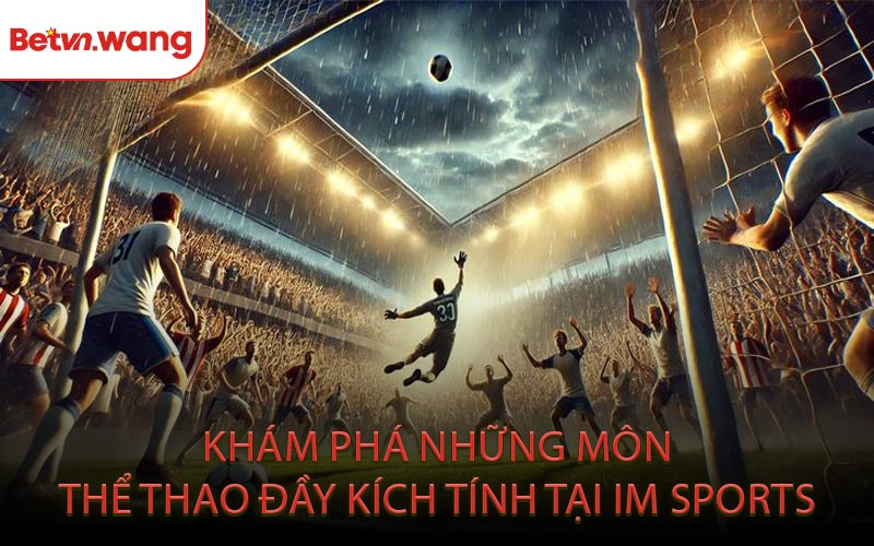 Khám Phá Những Môn Thể Thao Đầy Kích Tính Tại IM Sport